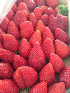 erdbeeren